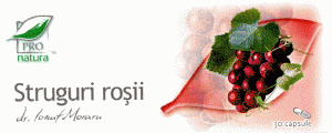 foto-struguri-rosii