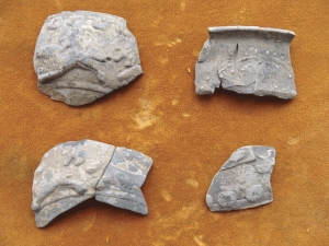 Ceramică de lux descoperită la Săcelu expusă la Muzeul Judeţean Gorj