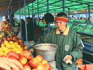 „Române, nu lăsa economia să moară! Consumă alimente produse în ţara ta!”