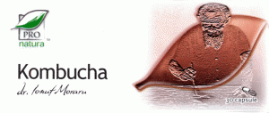 kombucha