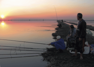 Malul Dunării înţesat cu pescari de la Roşiuţa