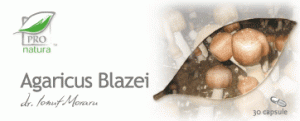agaricus-blazei