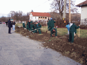 Voluntarii proiectului au participat la activităţi edilitare în comuna Alimpeşti