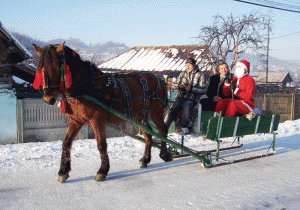 La Negomir, Moş Crăciun vine în toiul zilei, cu sania trasă de un cal de rasă