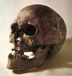 Fragmente craniene au supravieţuit până în zilele noastre şi pot fi admirate la Muzeul Judeţean
