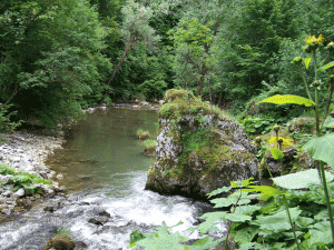 Valea Bulbei e un şuvoi, prin care trec peşti, oameni, vara, toamna…