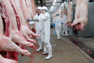 Pentru evitarea îmbolnăvirilor, cetățenii trebuie să cumpere carne de porc numai din surse autorizate