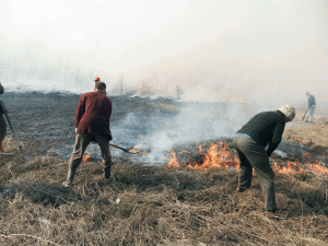 Grav Zeci de hectare de vegetaţie uscată, mistuite de flăcări în Gorj, în ultima săptămână