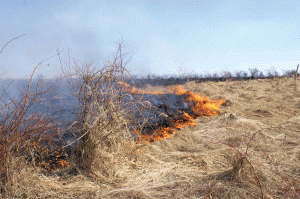 Cetățenii care se fac vinovați de producerea incendiilor riscă amenzi între 100 și 60.000 lei sau închisoare