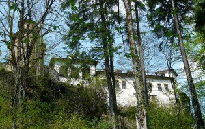 Turnurile zvelte veghează peste imensitatea verde a pădurilor la Tismana