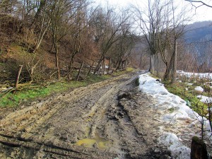 Drumuri din Godinești afectate de transporturile de lemn din pădure