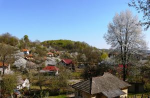 A coborât anotimpul reînvierii în satele Gorjului