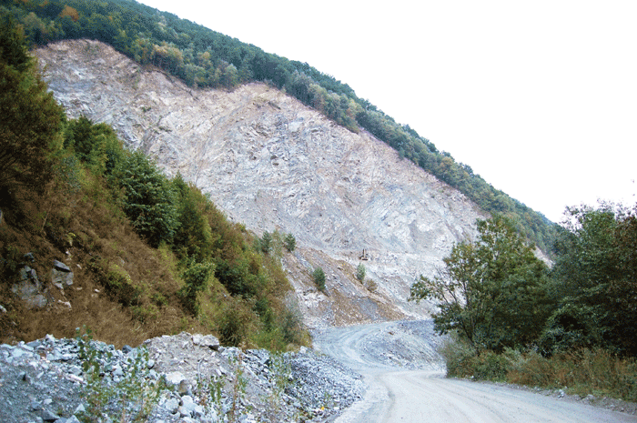 Doru Epure a vândut scump pădurea ltora, ca să aprobe scoateri din fondul forestier în Muntele Dumitra