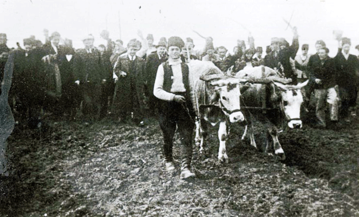 În martie 1945, moşia fermă din Urdari a colonelului Constantin Broşteanu Urdăreanu a intrat în categoria celor care trebuiau expropriate