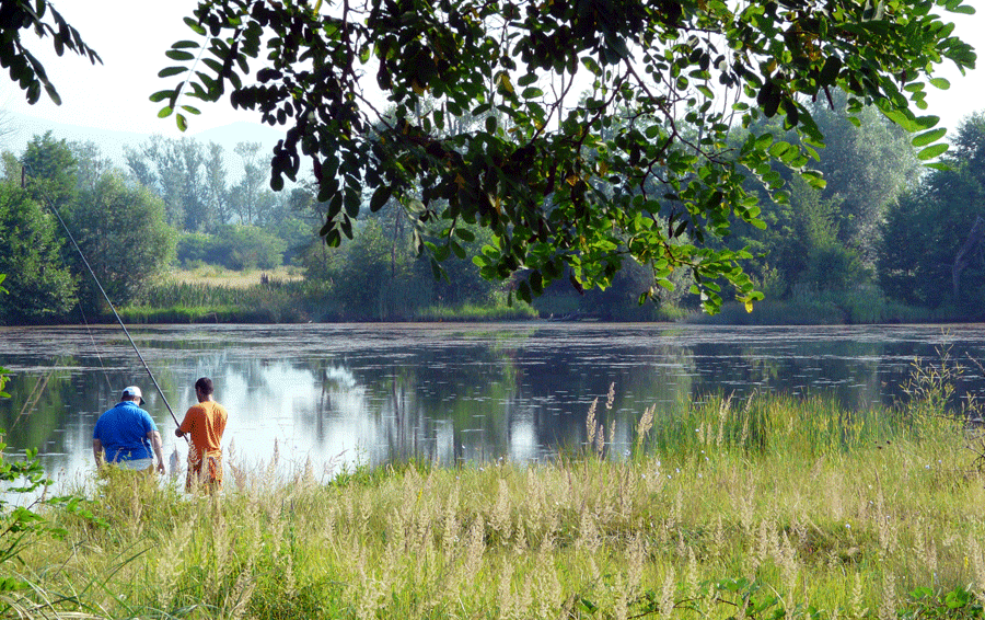 De arșița soarelui, reporterul s-a ascuns pe un mal de râu la pescuit